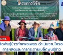 กำแพงเพชร-ศูนย์เมล็ดพันธุ์ข้าวกำแพงเพชร ดำเนินงานโครงการวิจัยการผลิตและการกระจายเมล็ดพันธุ์ข้าว