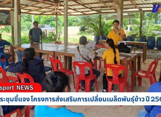 กำแพงเพชร-ศูนย์เมล็ดพันธุ์ข้าวกำแพงเพชร จัดประชุมชี้แจงโครงการส่งเสริมการเปลี่ยนเมล็ดพันธุ์ข้าวปี 2567