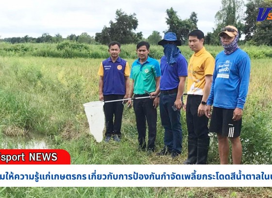 กำแพงเพชร-ศูนย์เมล็ดพันธุ์ข้าวกำแพงเพชร จัดอบรมให้ความรู้แก่เกษตรกร เกี่ยวกับการป้องกันกำจัดเพลี้ยกระโดดสีน้ำตาลในนาข้าว