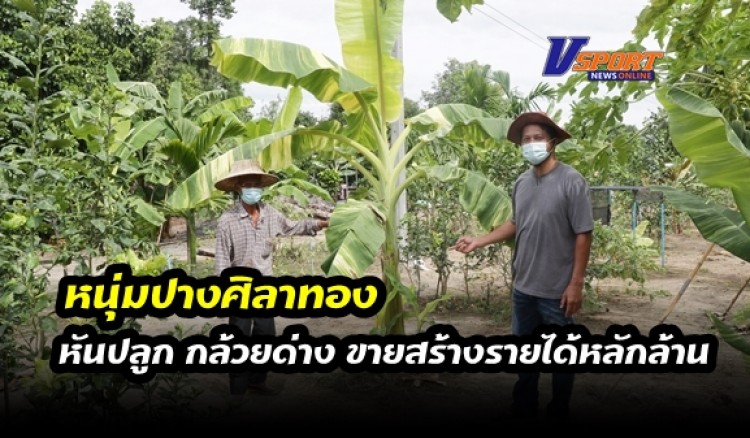 กำแพงเพชร-หนุ่มปางศิลาทอง ลาออกจากงานประจำหันปลูก