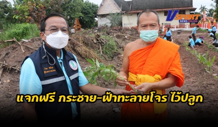 กำแพงเพชร-พระห่วงโยมใช้พื้นที่ในวัดกว่า 2 ไร่ 