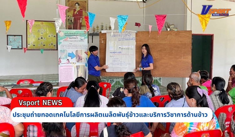 กำแพงเพชร-ศูนย์เมล็ดพันธุ์ข้าวกำแพงเพชร จัดประชุมถ่ายทอดเทคโนโลยีการผลิตเมล็ดพันธุ์ข้าวและบริการวิชาการด้านข้าว