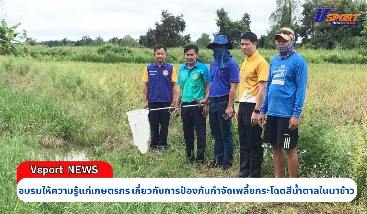 กำแพงเพชร-ศูนย์เมล็ดพันธุ์ข้าวกำแพงเพชร จัดอบรมให้ความรู้แก่เกษตรกร เกี่ยวกับการป้องกันกำจัดเพลี้ยกระโดดสีน้ำตาลในนาข้าว